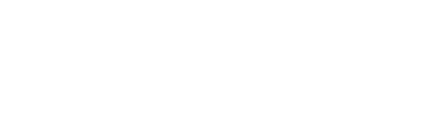 Borges Eletrônica
